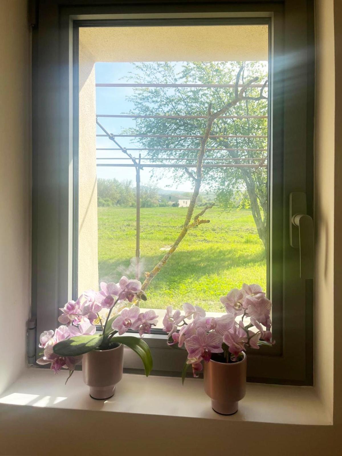Willa Le Petit Cabanon Provencal Mane  Zewnętrze zdjęcie